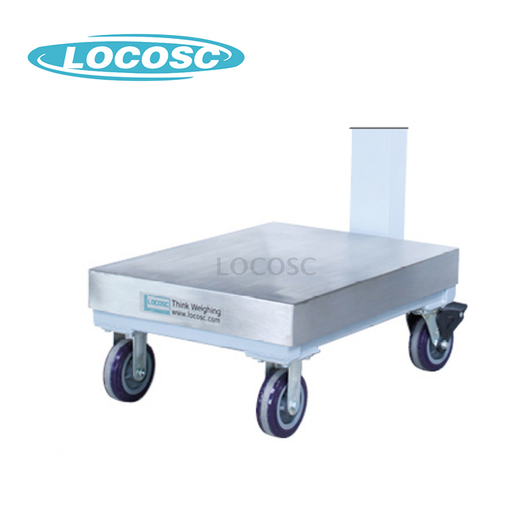Platform-Scale-parts (1)