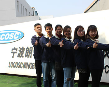 locosc domestic sales team