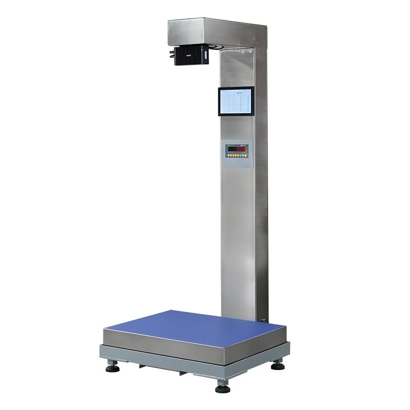 Logistic Scale Dimension Weight Scan Scale for Transport Ship