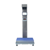 Logistic Scale Dimension Weight Scan Scale for Transport Ship