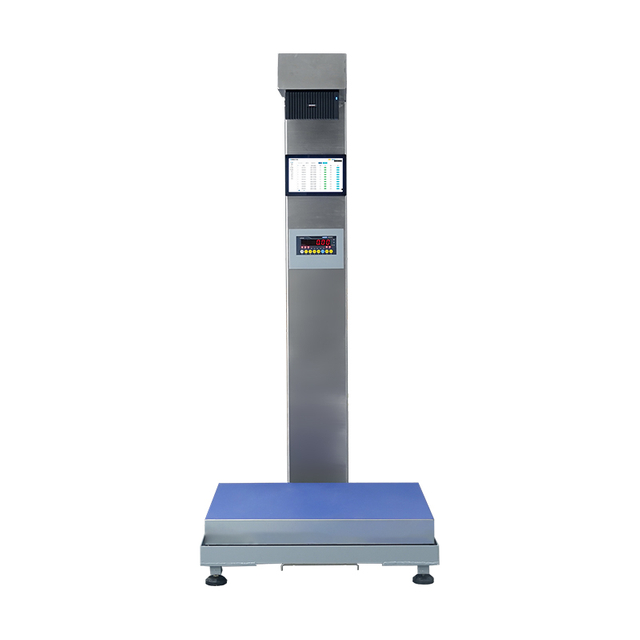 Logistic Scale Dimension Weight Scan Scale for Transport Ship
