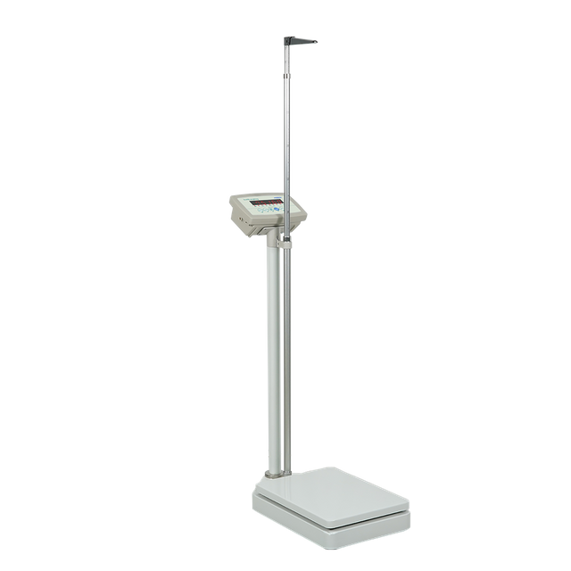 LH101 Physician Scale with Height Rod